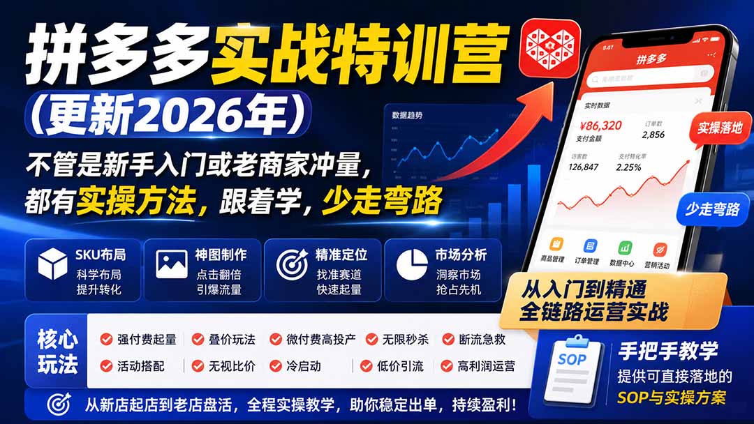 拼多多实战特训营(更新2026年-橙心云网创