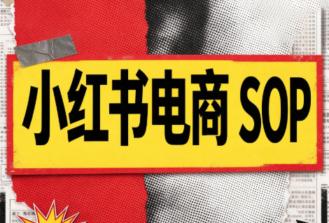 书豪必胜小红书电商sop(更新9月)-橙心云网创